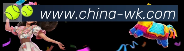 未来规划